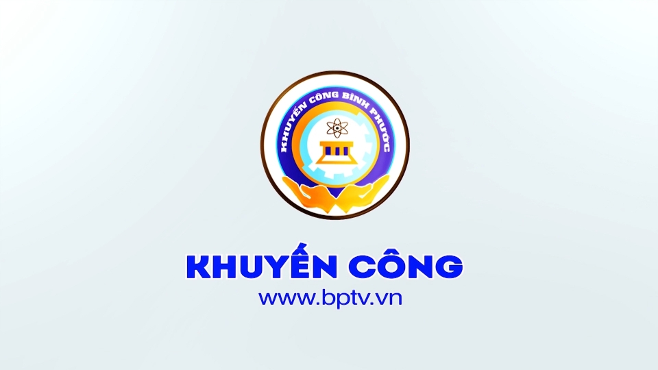 Khuyến công 17-12-2024 