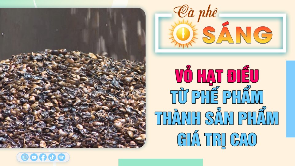 Kiếm tiền tỉ từ vỏ hạt điều |Cà phê sáng 25-4-2023 ||BPTV