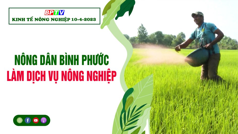 Kinh tế nông nghiệp 10-4-2023| Nông dân  Bình Phước làm dịch vụ nông nghiệp