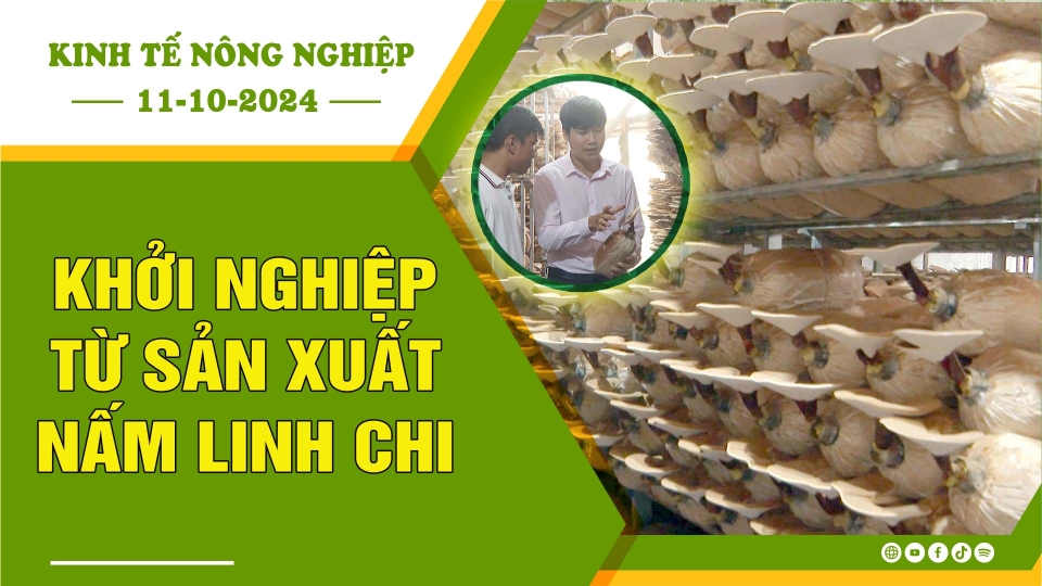 [🔴] Kinh tế nông nghiệp 11-10-2024 |Thông tin hữu ích ||BPTV