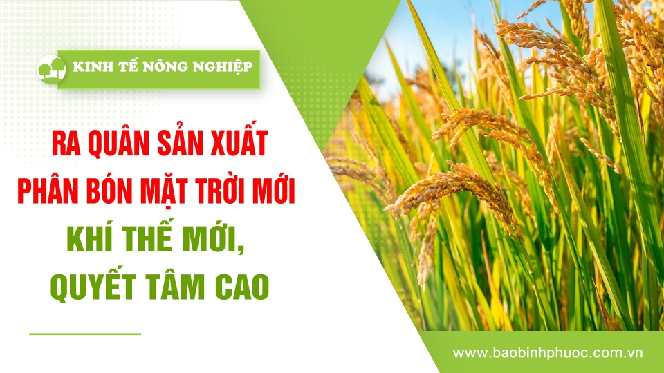 🍀 Kinh tế nông nghiệp 12-2-2025 | Thông tin hữu ích | BPTV 	