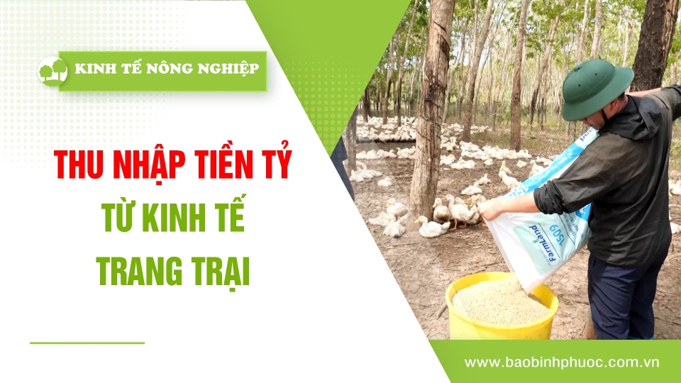 🍀 Kinh tế nông nghiệp 12-3-2025 | Thông tin hữu ích | BPTV 	