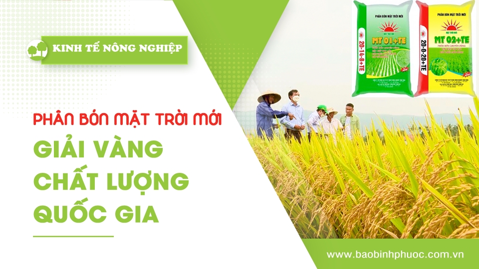🍀Kinh tế nông nghiệp 13-1-2025 | Thông tin hữu ích | BPTV