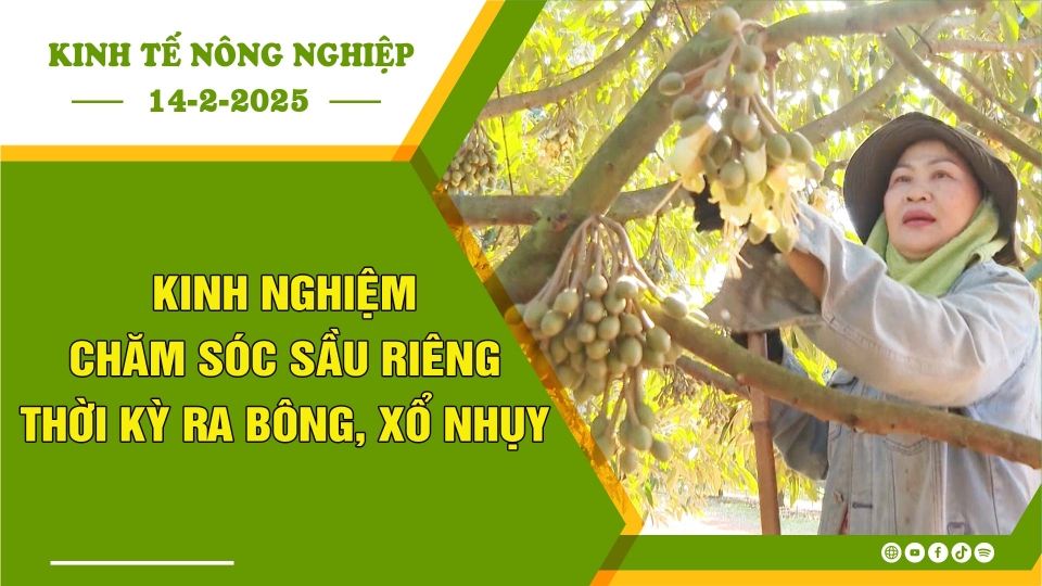 [🔴] Kinh tế nông nghiệp 14-2-2025 |Thông tin hữu ích ||BPTV