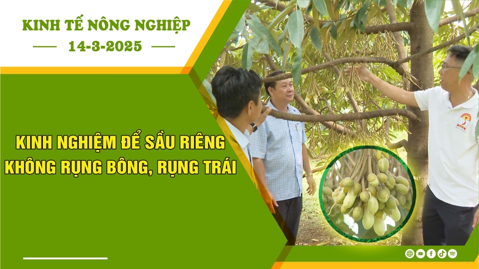 [🔴] Kinh tế nông nghiệp 14-3-2025 |Thông tin hữu ích ||BPTV
