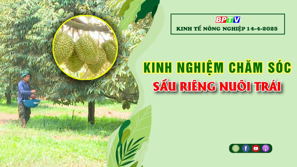 Kinh tế nông nghiệp 14-4-2025 |Thông tin hữu ích ||BPTV