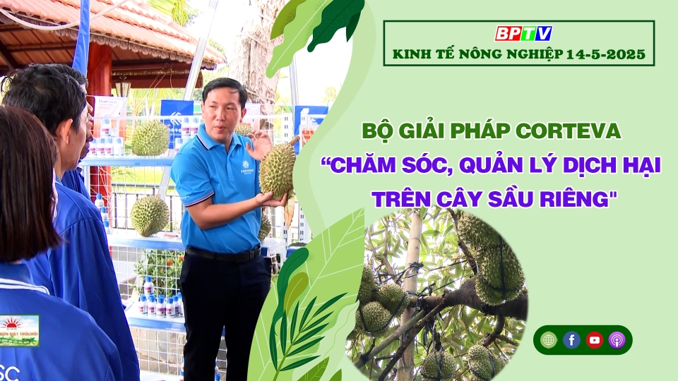 🔴 Kinh tế nông nghiệp 14-5-2024|Thông tin hữu ích ||BPTV