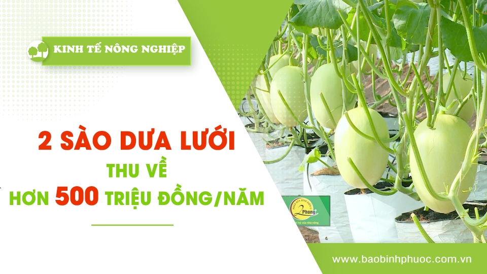 Kinh tế nông nghiệp 16-5-2024|Thông tin hữu ích ||BPTV