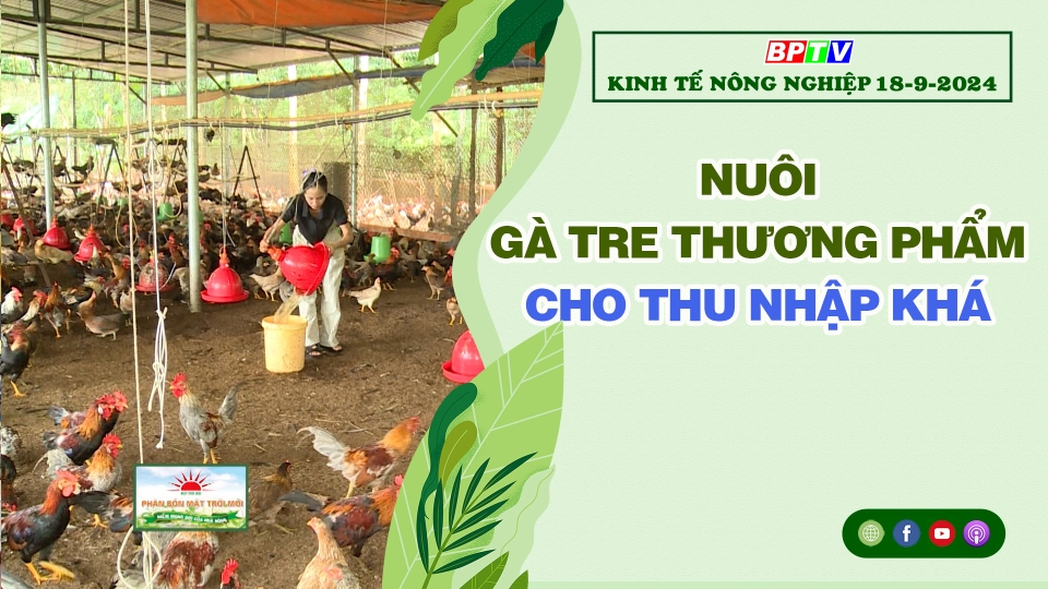 🔴 Kinh tế nông nghiệp 18-9-2024|Thông tin hữu ích ||BPTV