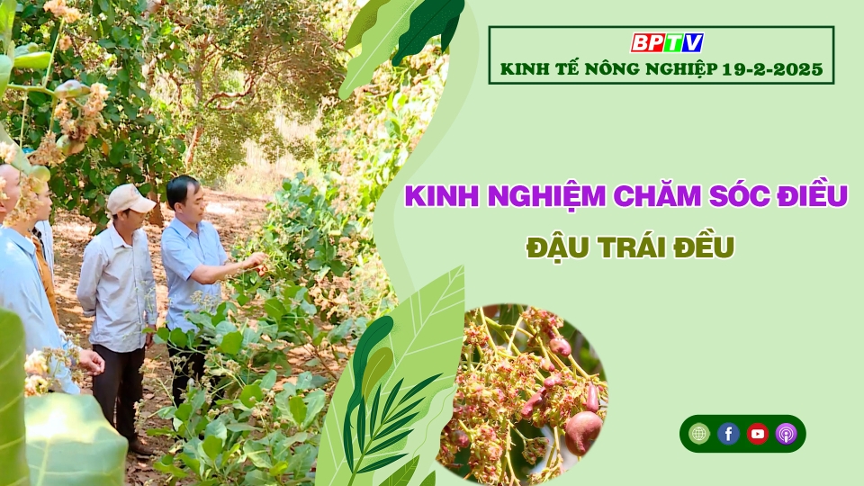 🔴 Kinh tế nông nghiệp 19-2-2025|Thông tin hữu ích ||BPTV