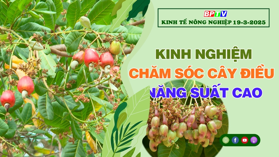 🔴 Kinh tế nông nghiệp 19-3-2025|Thông tin hữu ích ||BPTV