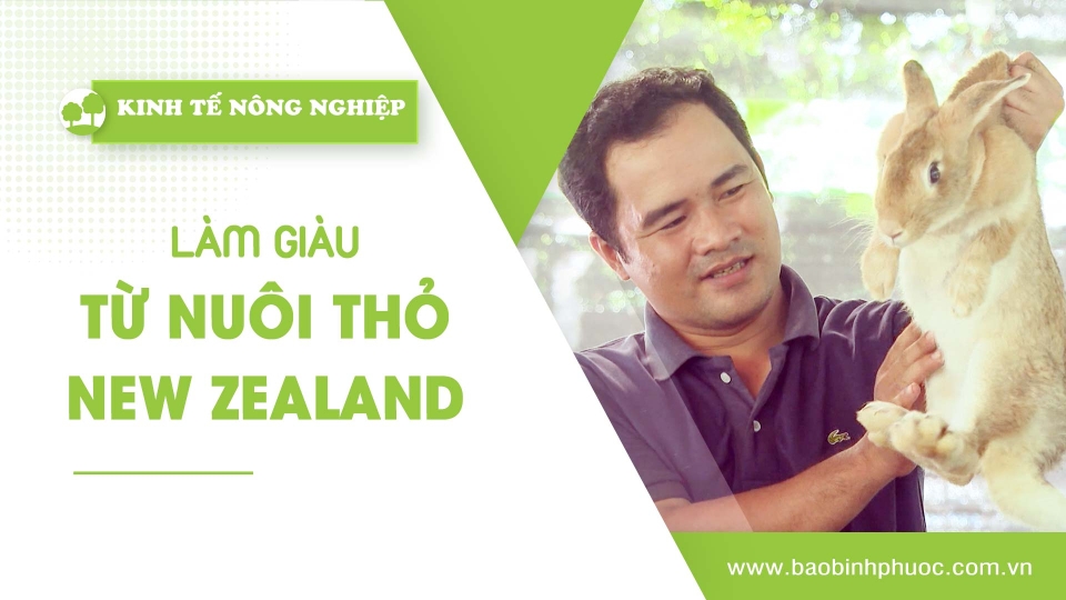 [🔴] Kinh tế nông nghiệp 20-12-2024 |Thông tin hữu ích ||BPTV