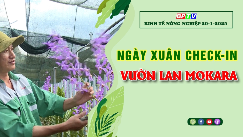 Kinh tế nông nghiệp 20-1-2025 |Thông tin hữu ích ||BPTV