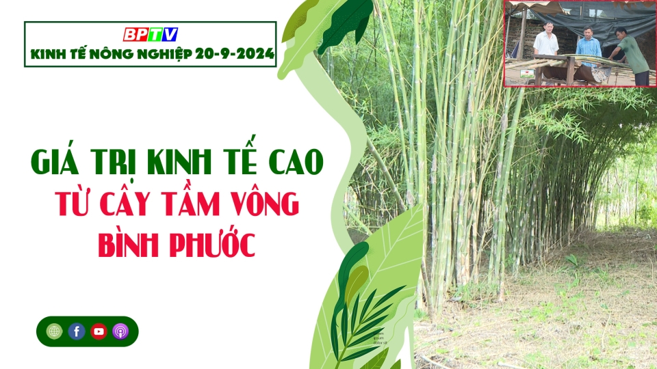 Kinh tế nông nghiệp 20-9-2024|Thông tin hữu ích ||BPTV