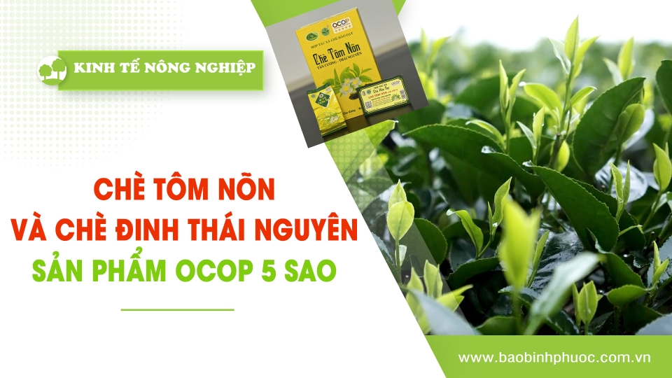 Kinh tế nông nghiệp 21-3-2025 |Thông tin hữu ích ||BPTV
