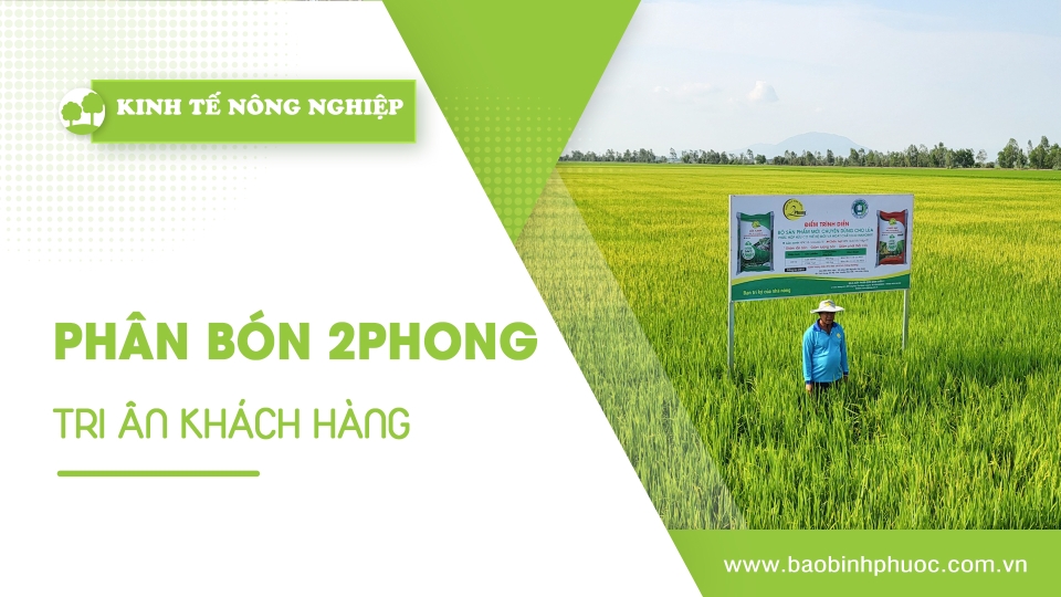 🍀Kinh tế nông nghiệp 21-4-2025 | Thông tin hữu ích | BPTV