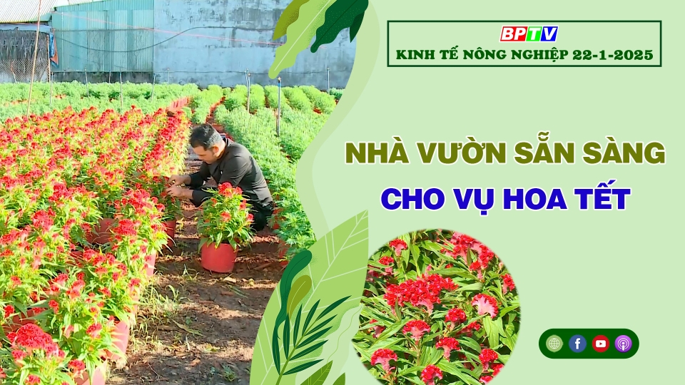 🔴 Kinh tế nông nghiệp 22-1-2025|Thông tin hữu ích ||BPTV