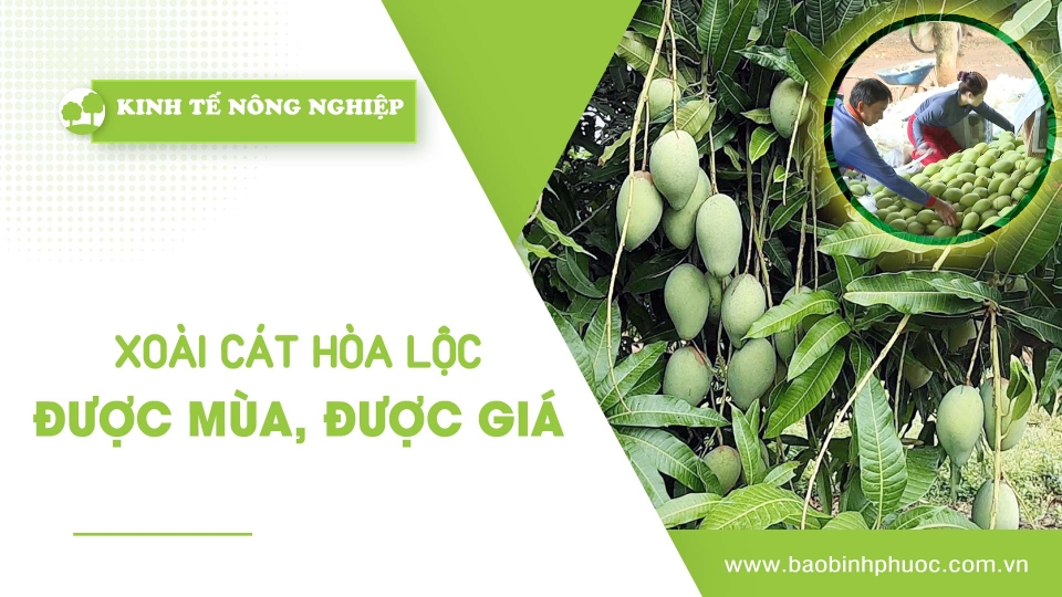 [🔴] Kinh tế nông nghiệp 23-5-2025 |Thông tin hữu ích ||BPTV