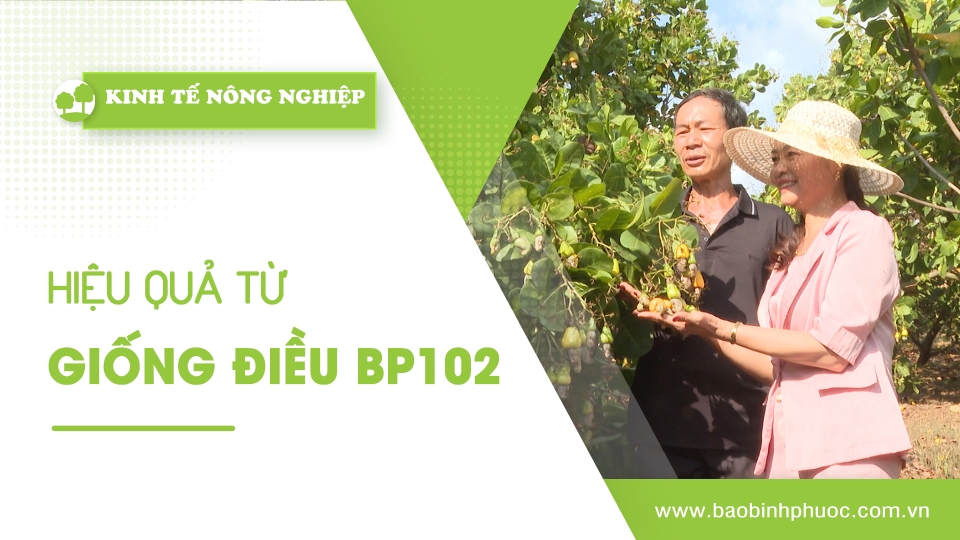 🍀Kinh tế nông nghiệp 24-3-2025 | Thông tin hữu ích | BPTV