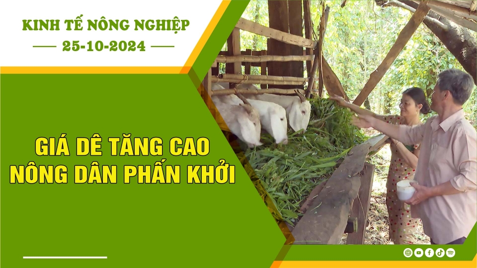 [🔴] Kinh tế nông nghiệp 25-10-2024 |Thông tin hữu ích ||BPTV