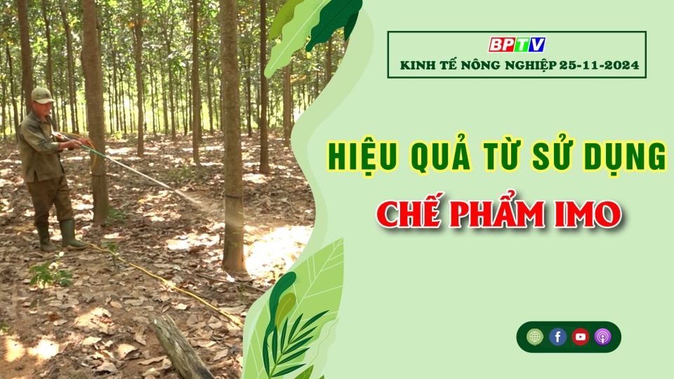 Kinh tế nông nghiệp 25-11-2024 |Thông tin hữu ích ||BPTV