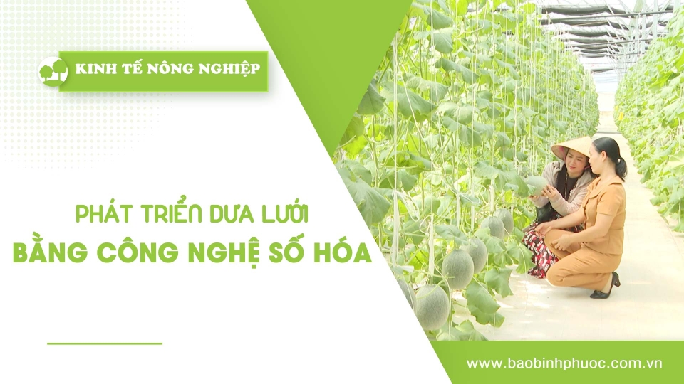 [🔴] Kinh tế nông nghiệp 25-4-2025 |Thông tin hữu ích ||BPTV
