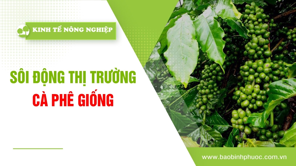 🍀 Kinh tế nông nghiệp 26-3-2025 | Thông tin hữu ích | BPTV 	