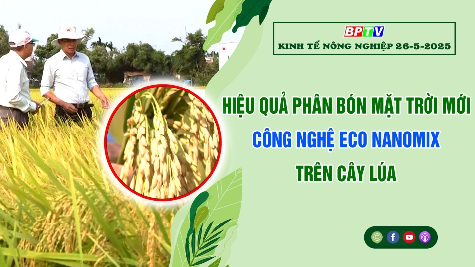 Kinh tế nông nghiệp 26-5-2025 |Thông tin hữu ích ||BPTV
