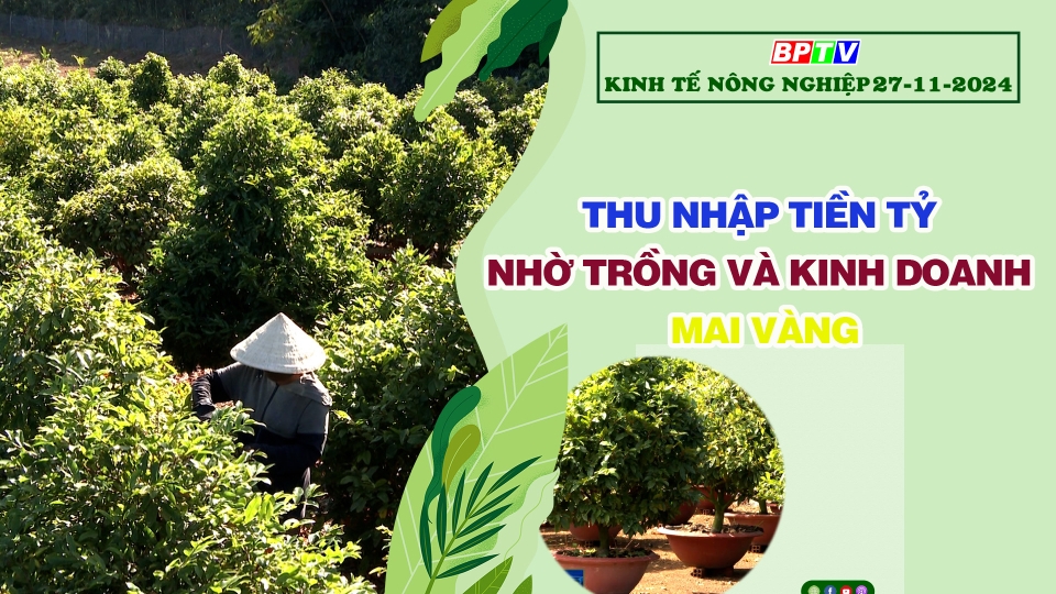🔴 Kinh tế nông nghiệp 27-11-2024|Thông tin hữu ích ||BPTV