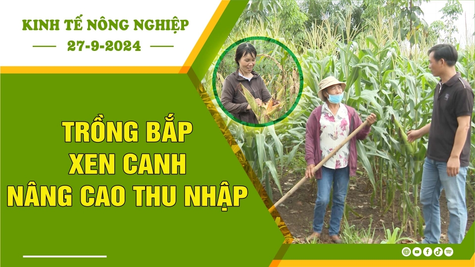 [🔴] Kinh tế nông nghiệp 27-9-2024 |Thông tin hữu ích ||BPTV