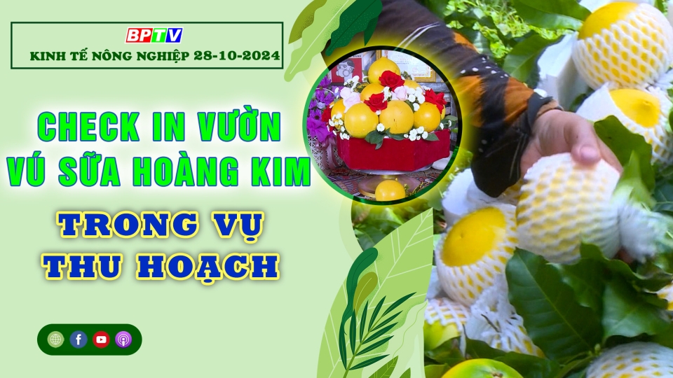 Kinh tế nông nghiệp 28-10-2024 |Thông tin hữu ích ||BPTV