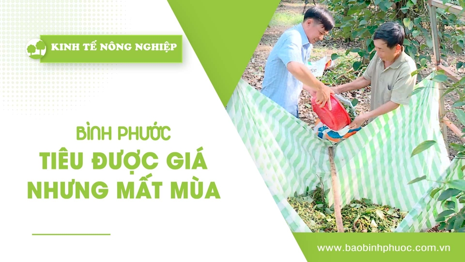 [🔴] Kinh tế nông nghiệp 28-2-2025 |Thông tin hữu ích ||BPTV