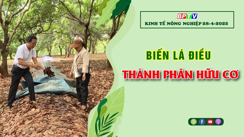 Kinh tế nông nghiệp 28-4-2025 |Thông tin hữu ích ||BPTV
