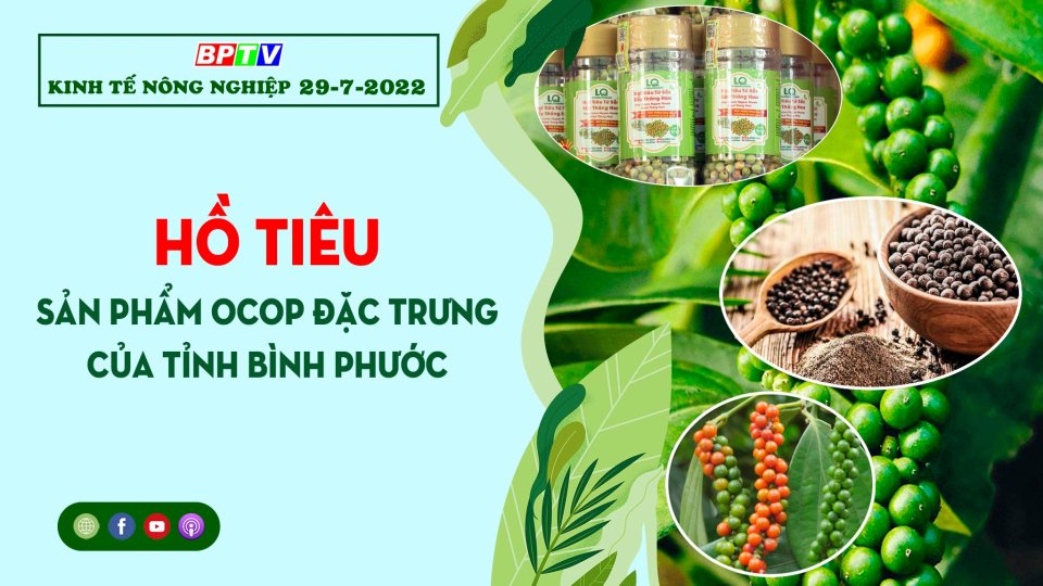 Kinh tế nông nghiệp 29-7-2022: Hồ tiêu - sản phẩm OCOP đặc trưng của tỉnh Bình Phước
