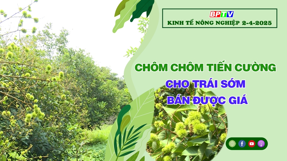 🔴 Kinh tế nông nghiệp 2-4-2025|Thông tin hữu ích ||BPTV