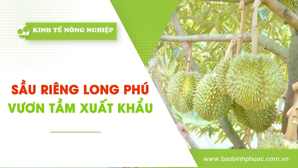 Kinh tế nông nghiệp 2-5-2025 | Thông tin hữu ích || BPTV
