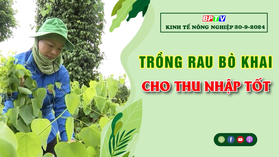 Kinh tế nông nghiệp 30-9-2024 |Thông tin hữu ích ||BPTV