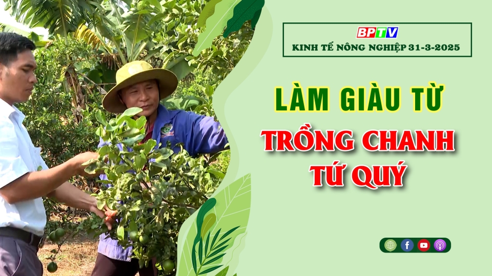 Kinh tế nông nghiệp 31-3-2025 |Thông tin hữu ích ||BPTV