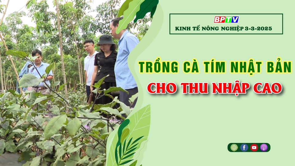 Kinh tế nông nghiệp 3-3-2025 |Thông tin hữu ích ||BPTV