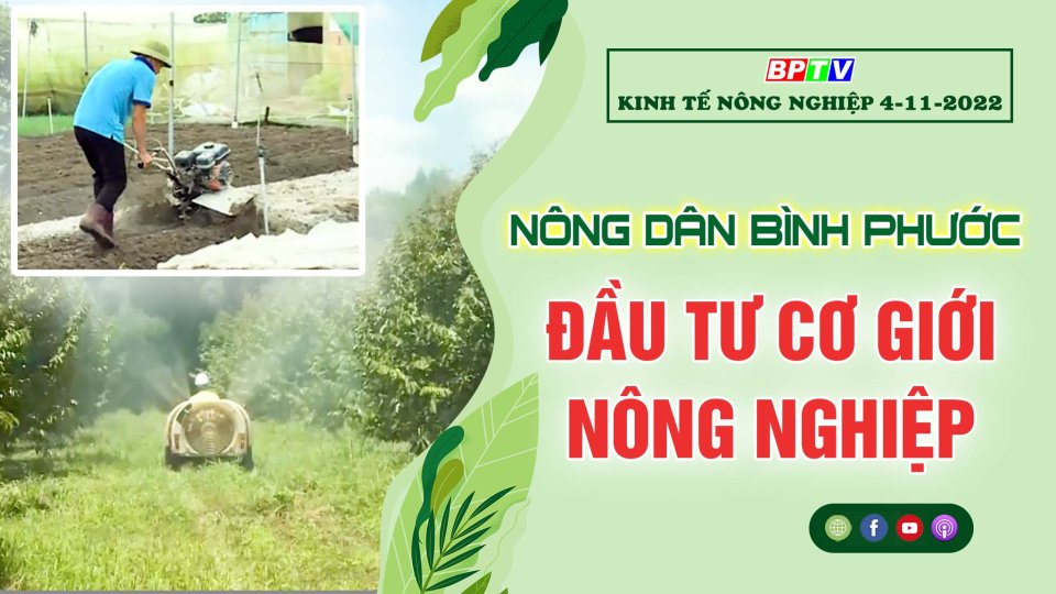 Kinh tế nông nghiệp 4-11-2022: Nông dân Bình Phước đầu tư cơ giới nông nghiệp|| BPTV