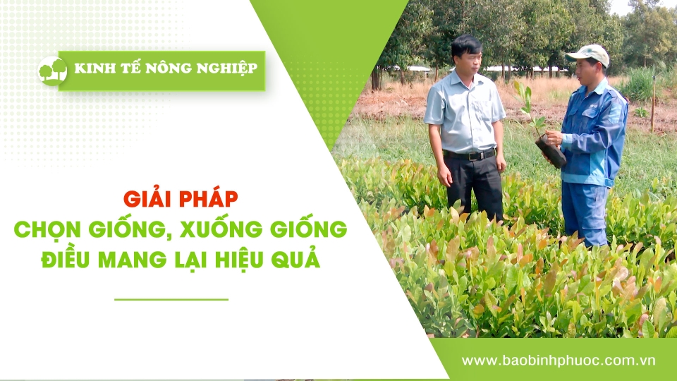 Kinh tế nông nghiệp 4-4-2025|Thông tin hữu ích ||BPTV