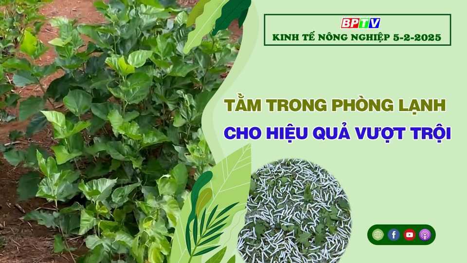 🔴 Kinh tế nông nghiệp 5-2-2025|Thông tin hữu ích ||BPTV