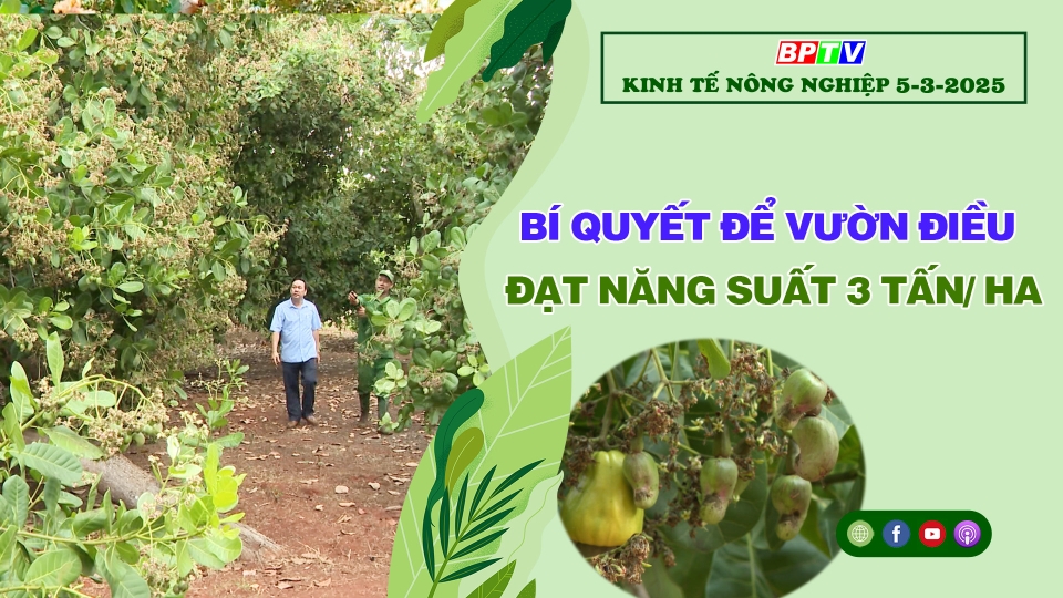 🔴 Kinh tế nông nghiệp 5-3-2025|Thông tin hữu ích ||BPTV