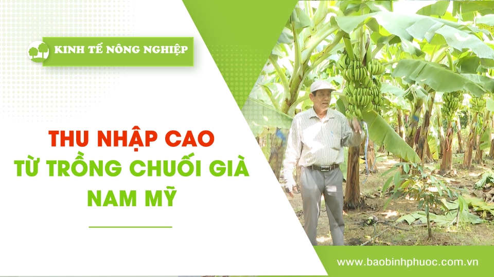 Kinh tế nông nghiệp 7-3-2025|Thông tin hữu ích ||BPTV