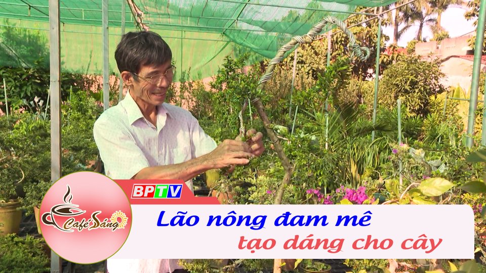 Lão nông với đam mê tạo dáng cho cây | Cà phê sáng 28-12-2022 || BPTV