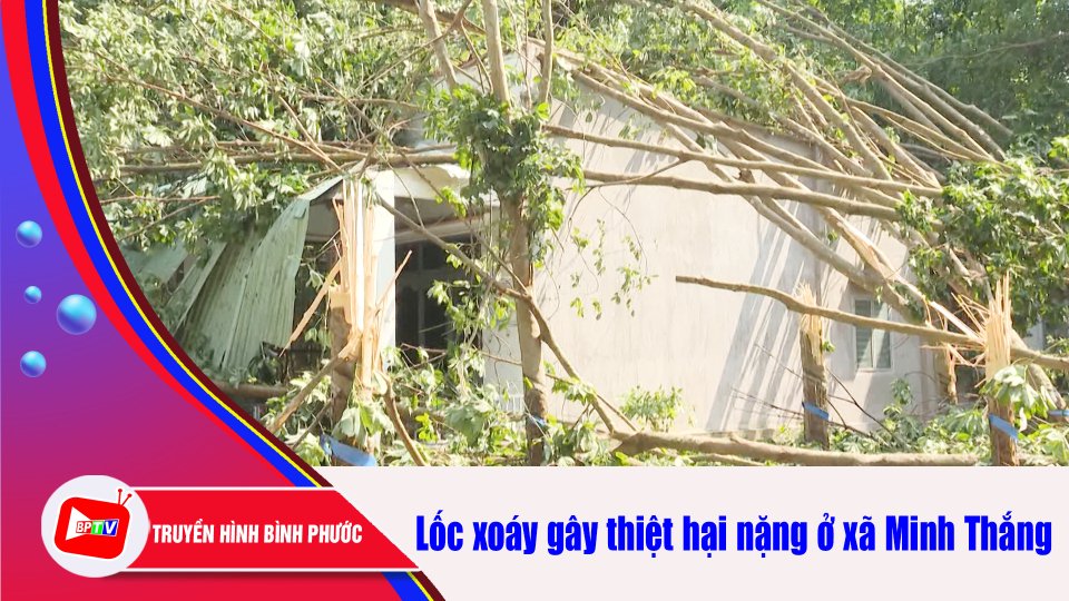 Lốc xoáy làm gãy đổ nhiều cao su tại xã Minh Thắng |BPTV