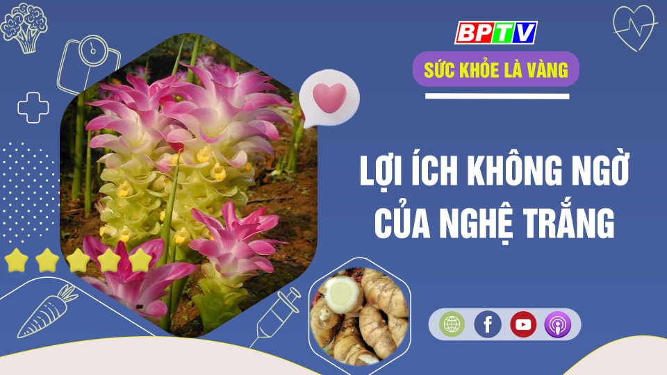🔴 Lợi ích không ngờ của nghệ trắng |Sức khỏe là vàng 