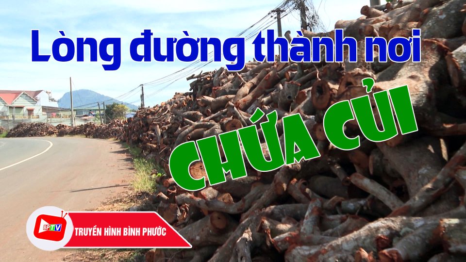 Lòng đường thành nơi chứa củi, gây mất an toàn giao thông |BPTV