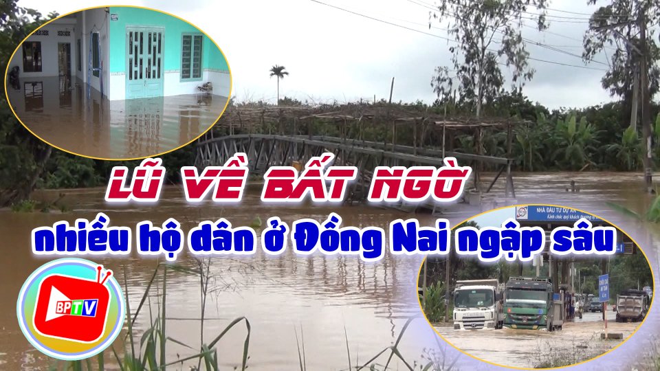 Lũ về bất ngờ khiến nhiều hộ dân ở Đồng Nai ngập sâu 