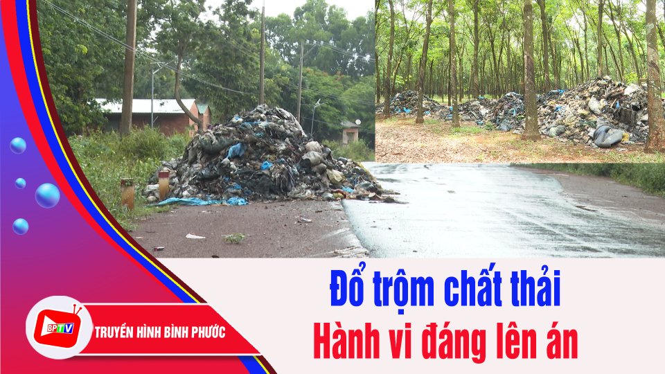 Mạnh tay với hành vi đổ trộm chất thải | BPTV